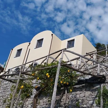 Alba - Rubino * Amalfi