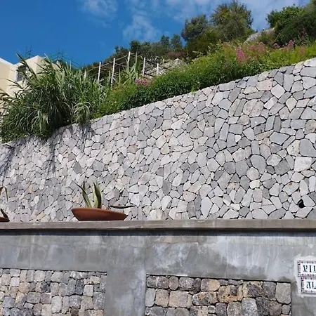 Alba - Rubino Amalfi