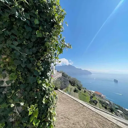 Alba - Rubino * Amalfi